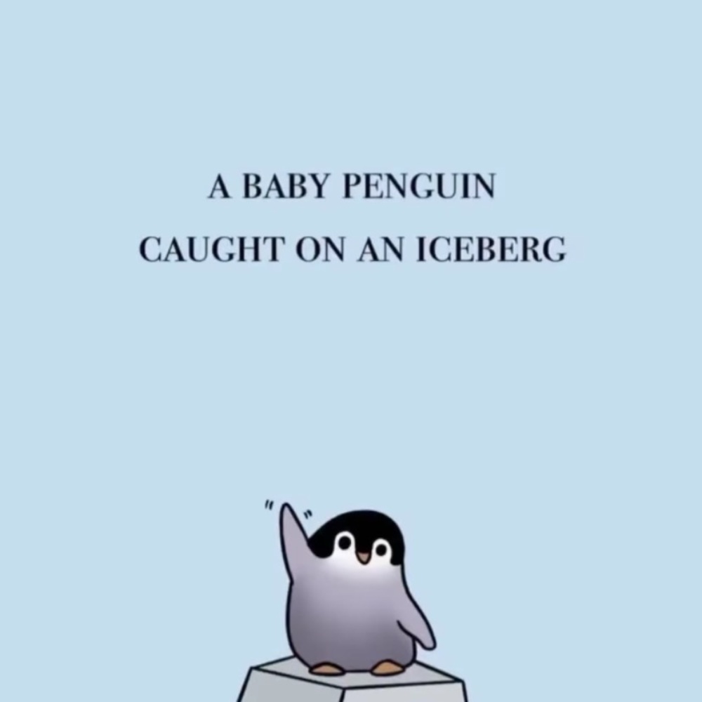 Meet your Posher, Izzy